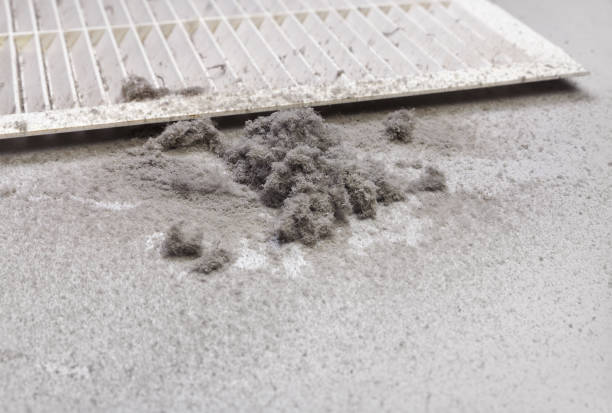 Best HVAC Maintenance and Cleaning  in Romoland, CA