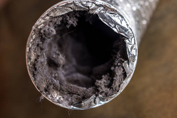 Best Air Duct Cleaning Near Me  in Romoland, CA
