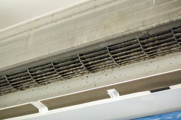 Best HVAC Maintenance and Cleaning  in Romoland, CA